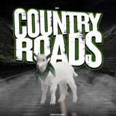Country Roads artwork