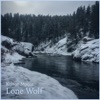 Lone Wolf - EP