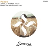 Peace (Massimiliano Bosco DJ & DBiz Extended Remix) [feat. Natune] artwork