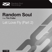 Random Soul - Let Love Fly