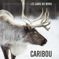 Les Gars Du Nord - Caribou artwork