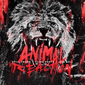 Animal Reaction (feat. Jess Ball) artwork