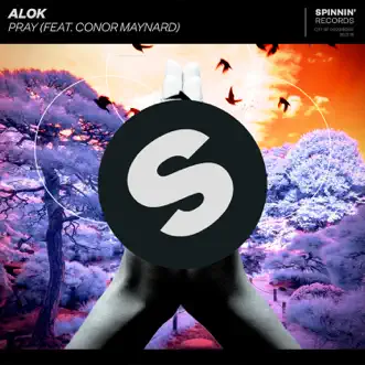 Pray (feat. Conor Maynard) by Alok song reviws