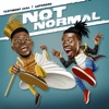 Not Normal (feat. Akpororo) - Single