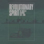 Revolutionary Spirit artwork