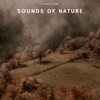 Country Side - Sounds of Nature