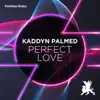 Stream & download Perfect Love - Single