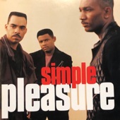 Simple Pleasure artwork