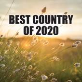 Best Country Of 2020 artwork