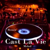 Cast La Vie Melod (Remix) artwork