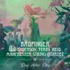 Day After Day (feat. Ian Anderson, Terry Reid & Manchester String Quartet) - Single album lyrics, reviews, download