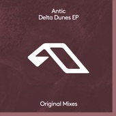 Delta Dunes (Extended Mix) artwork