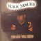 Ain't No Justice - Black Samurai lyrics