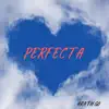 Perfecta - Single album lyrics, reviews, download