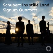 Schubert: Ins stille Land artwork