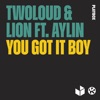 You Got It Boy (feat. Aylin) - Single