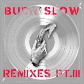 Burn Slow Remixes PT. III (feat. Miles Cooper Seaton) artwork