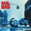 Bump Ahead (Expanded Edition), 1993