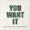 You Want It artwork