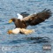 2015 Interlude (feat. Gold Streak Beats) - Tajh Malik lyrics