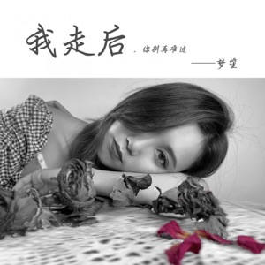 我走后 - Single