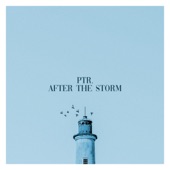 After the Storm artwork