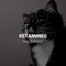 Ketamines - Philly Norrie lyrics