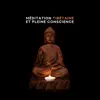 Méditation tibétaine et pleine conscience: Détendez-vous avec des bols chantants tibétains, Musique hypnotique pour l'esprit, l'esprit et le corps album lyrics, reviews, download