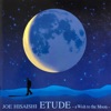 Joe Hisaishi - A Wish to the Moon