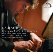 Concerto for Harpsichord, Strings, and Continuo No. 2 in E, BWV 1053: II. Siciliano artwork