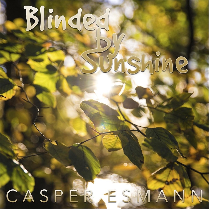 Wake Me Up When September Ends Lyrics Deutsch