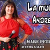 La multi ani Andrei (feat. Doinita si Acustik) - Single