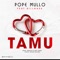 Tamu (feat. Billnass) - POPE MULLO lyrics