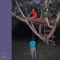 La Edad Del Fresno - YYYY lyrics