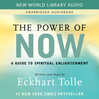 Eckhart Tolle - The Power of Now: A Guide to Spiritual Enlightenment artwork
