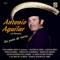 Bandido De Amores (feat. Joan Sebastian) - Antonio Aguilar lyrics