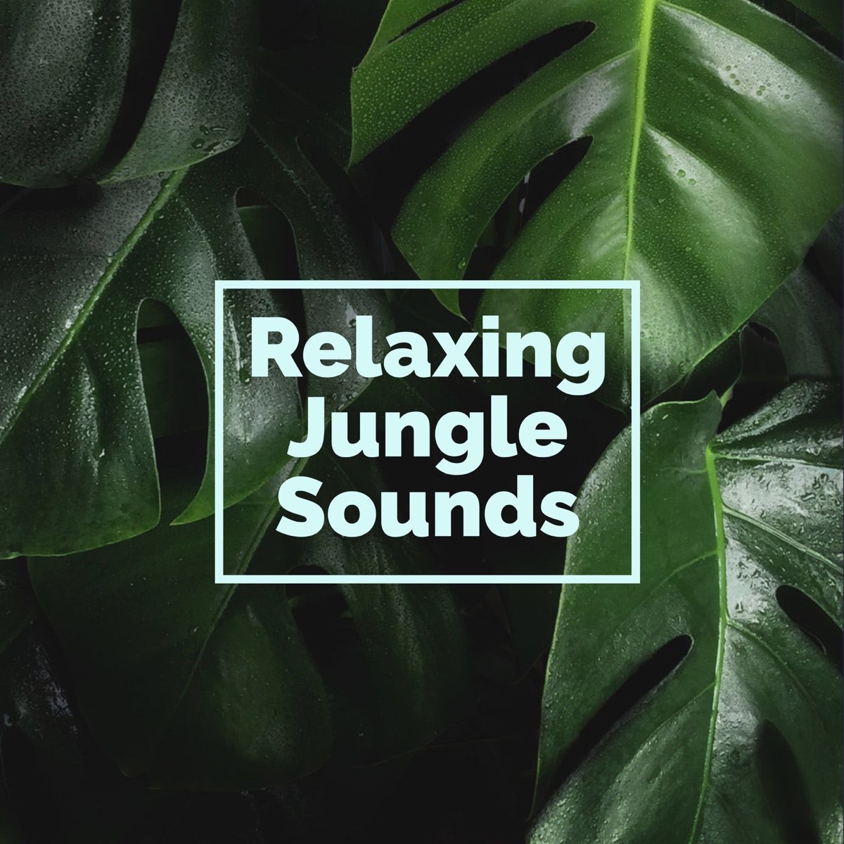 Relaxing Jungle Sounds by Nature Sounds & Rainforest Sounds on Apple Music