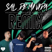 Sal de Mi Vida (Remix) artwork