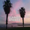 Summer Breeze (Electronic Version) - Single album lyrics, reviews, download