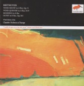 Sextet for 2 Clarinets, 2 Bassoons and 2 Horns in E-Flat, Op. 71: III. Menuetto (Quasi Allegretto) artwork