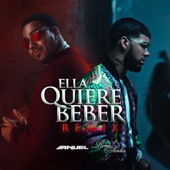 Ella Quiere Beber (Remix) artwork