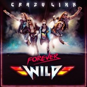 Never Die (Forever Wild) artwork