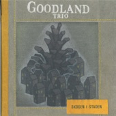 Goodland Trio - Falun