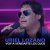 Voy a Vendarte los Ojos - Single