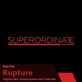 Rupture (Vedran Komm Rmx) artwork