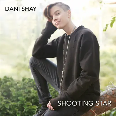 Shooting Star - Single - Dani Shay