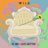 It Only Gets Better - Single