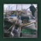 Young but Gold - Single