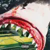 Shark Report album lyrics, reviews, download