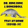 Stay at Home (Covid-19) [feat. Bongoroll] - Single